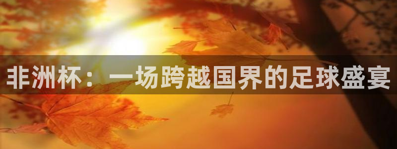 联赛杯直播：非洲杯：一场跨越国界的足球盛宴