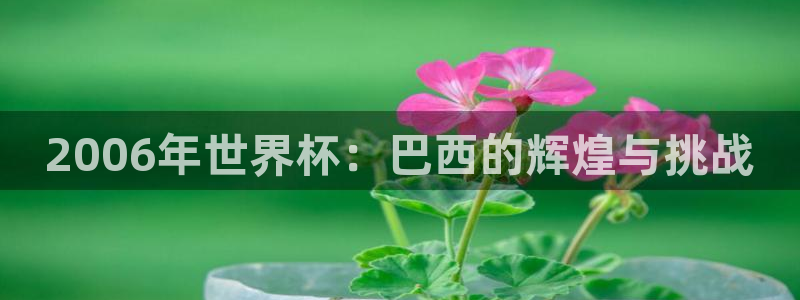2026世界杯足球赛程时间表：2006年世界杯：巴西的辉煌与挑战