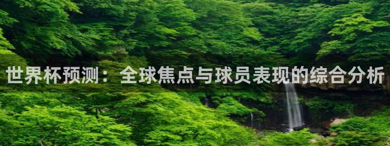 足球世预赛：世界杯预测：全球焦点与球员表现的综合分析