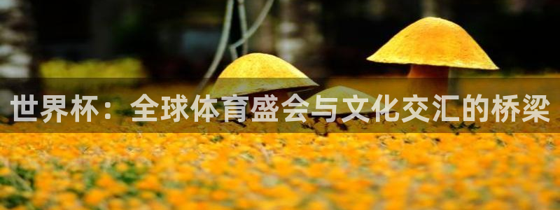 法国杯2026赛程表：世界杯：全球体育盛会与文化交汇的桥梁