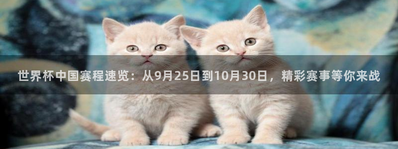 世界杯决赛预测：世界杯中国赛程速览：从9月25日到10月30日，精彩赛事等你来战