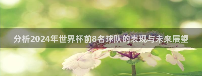 女足世界杯直播：分析2024年世界杯前8名球队的表现与未来展望