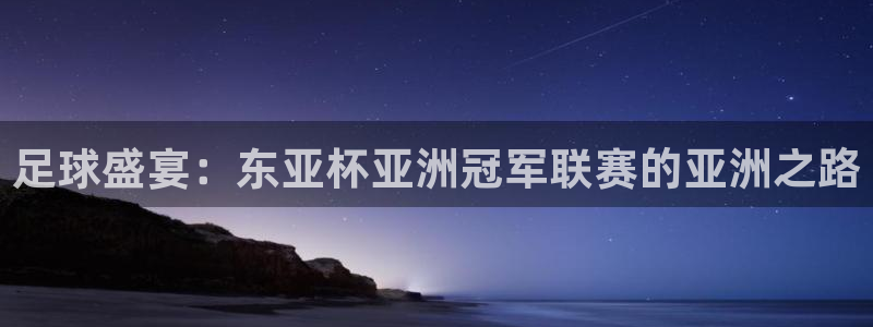 世界杯直播在线观看入口：足球盛宴：东亚杯亚洲冠军联赛的亚洲之路