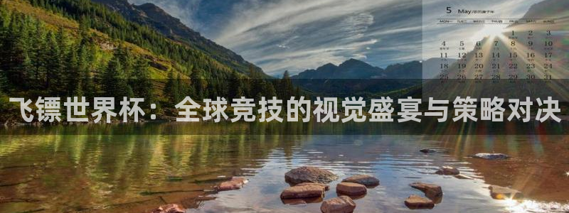 足球世预赛：飞镖世界杯：全球竞技的视觉盛宴与策略对决