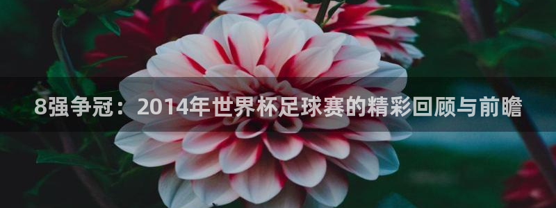 2026 世界杯：8强争冠：2014年世界杯足球赛的精彩回顾与前瞻