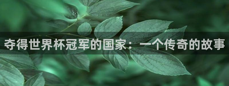 欧联杯直播:夺得世界杯冠军的国家:一个传奇的故事