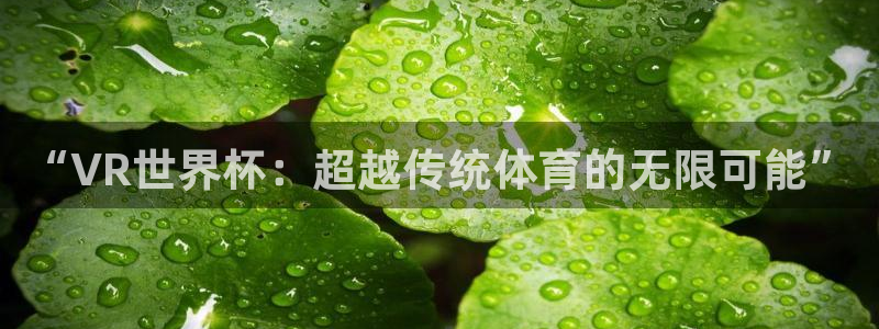 足球杯：“VR世界杯：超越传统体育的无限可能”