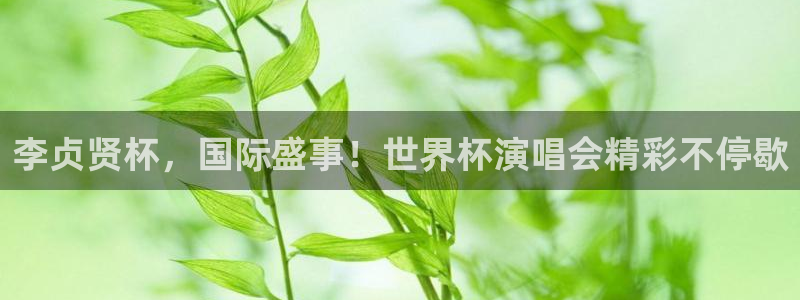 世界杯视频：李贞贤杯，国际盛事！世界杯演唱会精彩不停歇