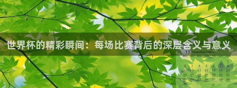 世界杯欧洲区世预赛赛程:世界杯的精彩瞬间:每场比赛背后的深层含义与意义