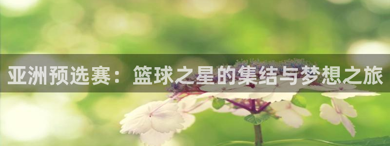 世界杯预选赛赛程时间表：亚洲预选赛：篮球之星的集结与梦想之旅