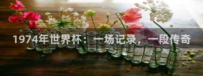 世预赛欧洲赛程表：1974年世界杯：一场记录，一段传奇